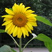 Rich Summers Photo 9