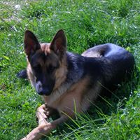 Dorris Carter Photo 4