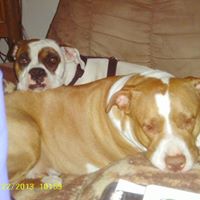 Kay Mckay Photo 11