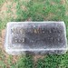 Mattie Davis Photo 22