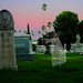 Beth Malone Photo 36