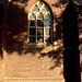 Robert Hoefer Photo 17
