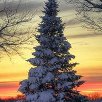 Jill Monson Photo 6
