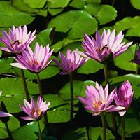 Jeanne Allen Photo 32