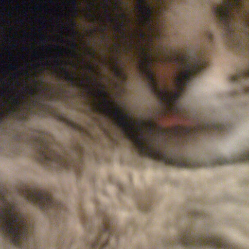 Samantha Allison Photo 38