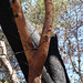 Robyn Wiseman Photo 11