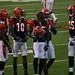 Reggie Perry Photo 17