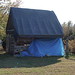 Caroline Webb Photo 7