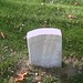 George Gregory Photo 31