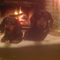 Gail Loveless Photo 7