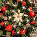 Sandra Sharp Photo 14