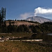 Helen Mcbride Photo 35