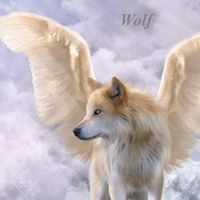 Angel Combs Photo 7