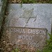 Joshua Gibson Photo 20