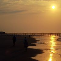 Laurie Thayer Photo 19