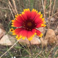 Janet Mcgrath Photo 31