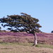 Heather Toft Photo 2