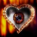 Barbara Loveless Photo 5