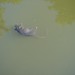 Robert Drown Photo 13