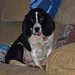 Wilma Foster Photo 17