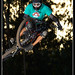 Jon Gomez Photo 34