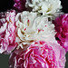 Linda Bunch Photo 15