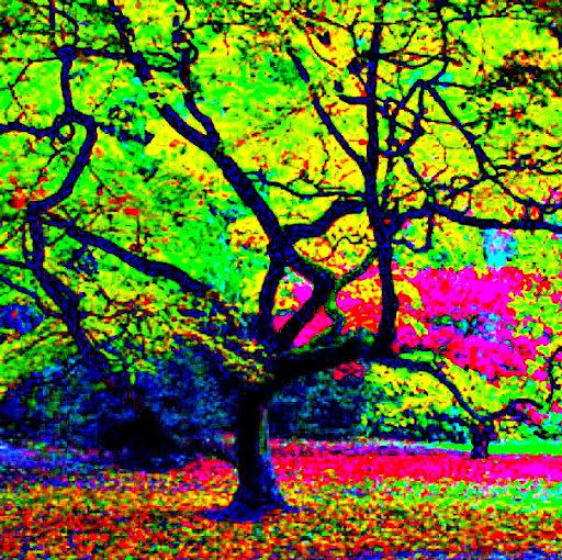 Jackie Sharp Photo 46