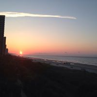 Lynda Billings Photo 15