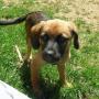 Kimberly Vincent Photo 35