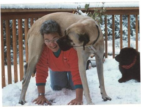 Elizabeth Cahoon Photo 3