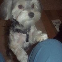 Jane Yancey Photo 18
