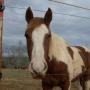 Regina Estep Photo 13