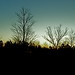 Debra Gilmore Photo 9