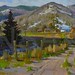 David Tutwiler Photo 4