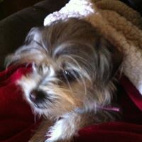 Lois Roberson Photo 8