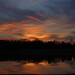 David Clines Photo 7