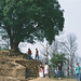 Cynthia Buck Photo 17