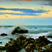 Sandy Early Photo 21