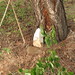 William Medlin Photo 28