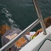 Alison Stern Photo 8