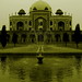Zafar Shah Photo 29