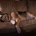 Dawn Couch Photo 19