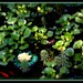 Don Cartwright Photo 28