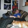 Paul Willis Photo 30