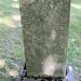 Richard Matteson Photo 5