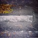 James Prescott Photo 33