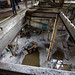 Richard Dozer Photo 4