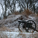 Jan Lytle Photo 12