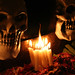 Francisco Robledo Photo 18
