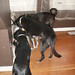 Heather Solomon Photo 10